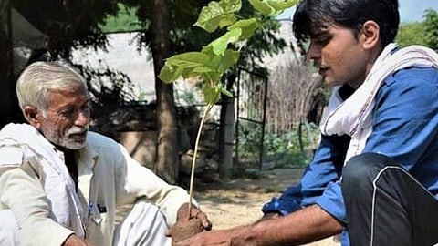 विष्णु लांबा अब तक करीब ग्यारह लाख पौधे निःशुल्क वितरित कर चुके हैं