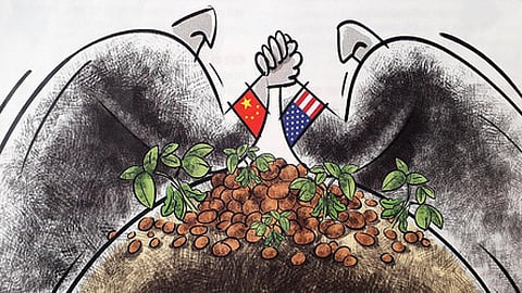 सोयाबीन की खेती