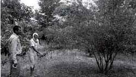 सूखे से निपटने को तत्पर गांव