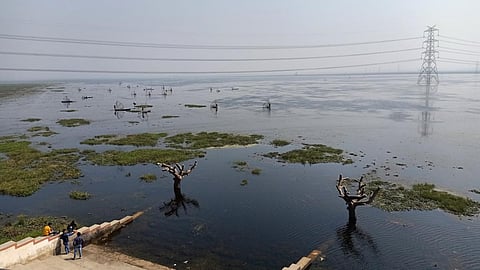 बलिया जिला का सुरहा ताल, फोटो-India water portal Flicker