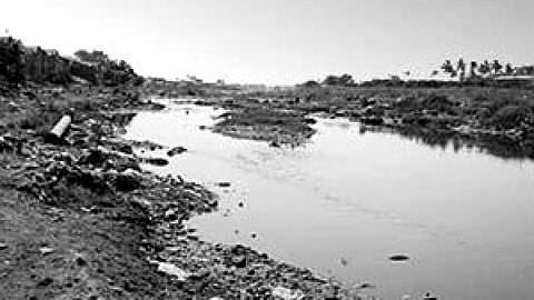 गोमती की कई सहायक नदियां प्रदूषित हो गई हैं