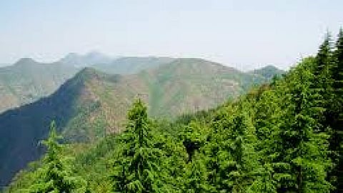 पहाड़ों में विकास, आपदा का सवाल