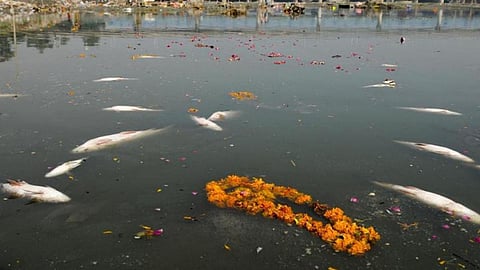 Yamuna river after immersion of sculptures
