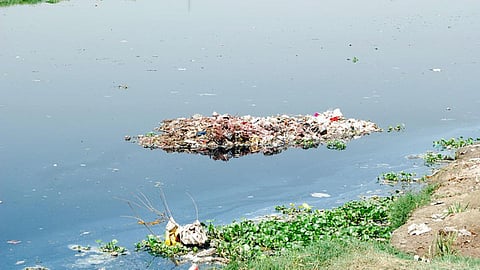 Yamuna