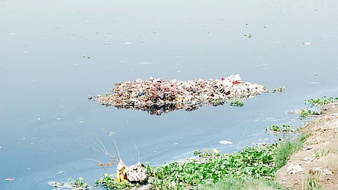 हरित पंचाट पहुँची यमुना