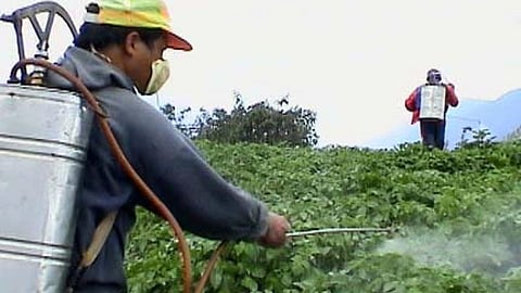 सब्सीडी का अनोखा खेल