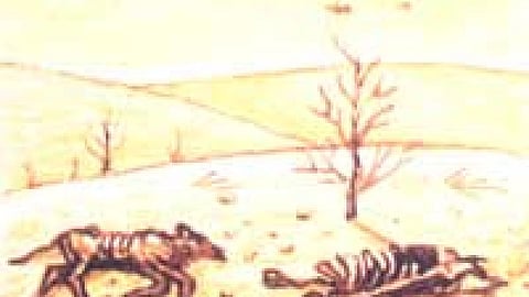 वर्षा क्यों होती है