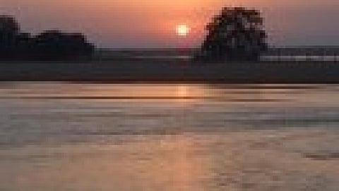 दम तोडती आमी नदी बचाएं