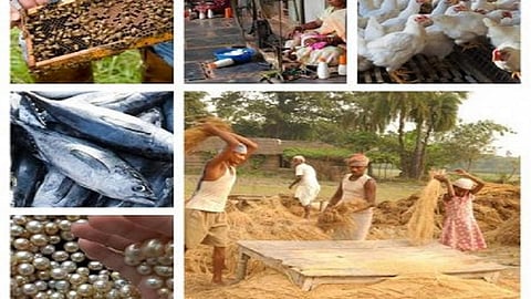 किसानों की आय बढ़ाने में सहायक कृषि-सम्बद्ध क्षेत्र