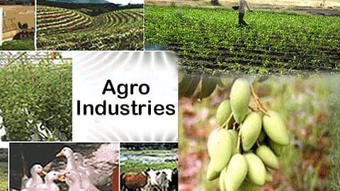भारत में कृषि-आधारित उद्योगों का अवलोकन