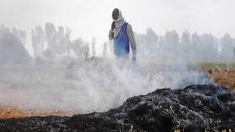 अकेले दिल्ली पर कड़ाई नहीं सुधरेगी राजधानी की सेहत