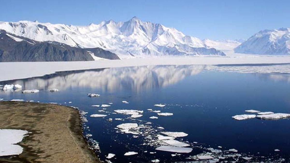 अंटार्कटिका में दबी पुरानी झील में पाया गया जीव