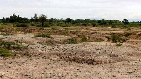 barren land
