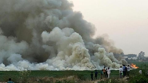 बेलंदूर झील