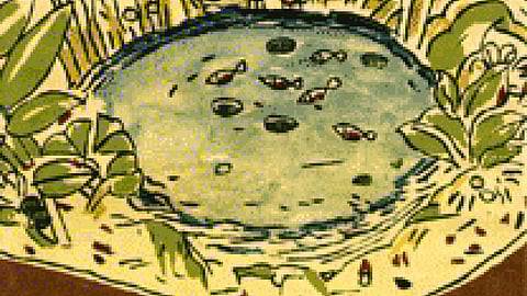 आज भी खरे हैं तालाब (बंगाली)