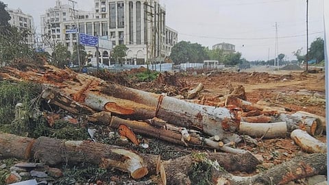 भोपाल में विकास के लिए हरियाली पर चलती आरी