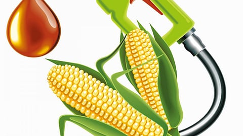 जैव ईंधन