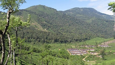 अन्नामलाई का पहाड़ी क्षेत्र।