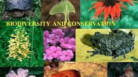 जैवविविधता