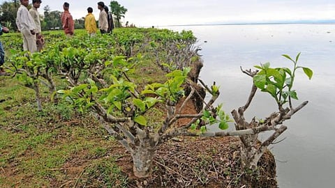 ब्रह्मपुत्र नदी में भूक्षरण
