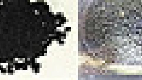 कैब मोएक के दाने