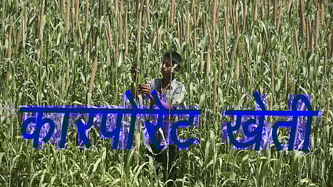 कारपोरेट खेती