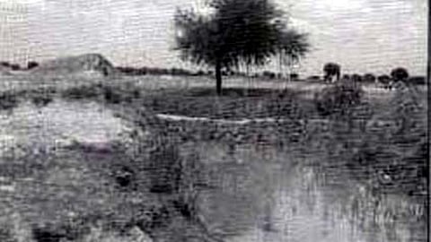 गली प्लग (लूज बोल्डर चेकडैम) एवं मेड़बंदी से परती / बंजर ज़मीन में फसलें लहलहाई