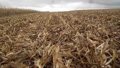 फसल अवशेष प्रबन्धन क्यों और कैसे।