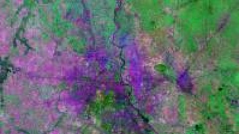 दिल्ली के खेत