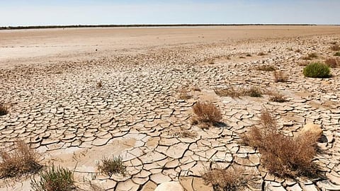 मरुस्थलीकरण : दुनिया के समक्ष बड़ी चुनौती