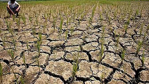 सूखा राहत राज बनाम स्वराज