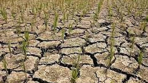 सूखा सिर्फ शहरों में नहीं है