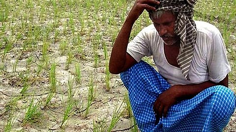 सरकारें करती रहीं सूखे पर फैसले का इन्तजार