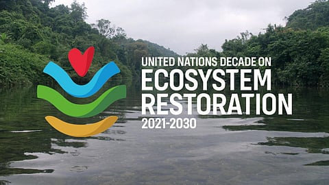 ‘पारिस्थितिकी तंत्र की बहाली का दशक Photo: Needpix.com