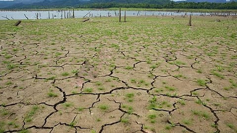मिट्टी को जीवन देना होगा