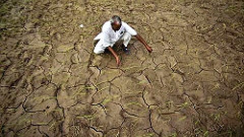 खाद्य सुरक्षा पर ग्लोबल वार्मिंग की आँच