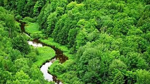 पर्यावरण पर एक दिवसीय कुरान कांफ्रेंस