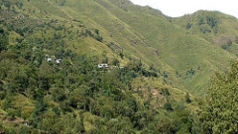 पर्यावरण