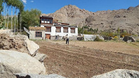 environment