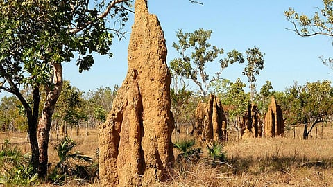 पर्यावरण में सन्तुलन जीवन पद्धति में बदलाव के बिना असम्भव