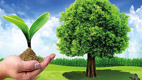 environmental sciences