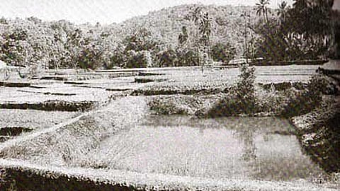 farm pond