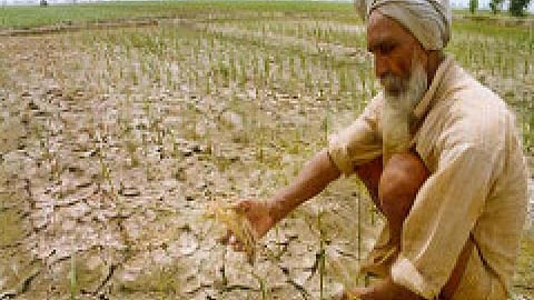 खेत बने बाजार, किसान बेजार