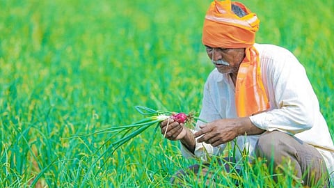 गलत नीतियों से किसान हुए बदहाल। फोटो स्त्रोत-डाउन टू अर्थ