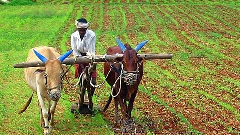 खेत से खाने की मेज तक