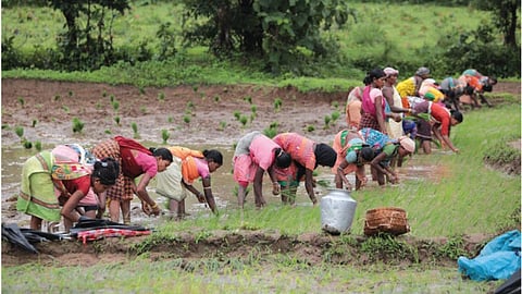 महिला किसानों के सशक्तिकरण हेतु पहल