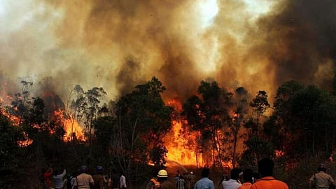 a file photo of fire in forest this fire season of Nainital