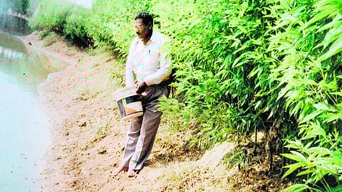 मछली उत्पादन से उत्पादक बने कबीन्द्र