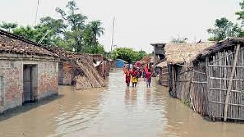 तीसरी फसल उफान पर