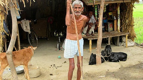 उत्तर प्रदेश के 49 जिलों के भूजल में मौजूद है नाइट्रेट